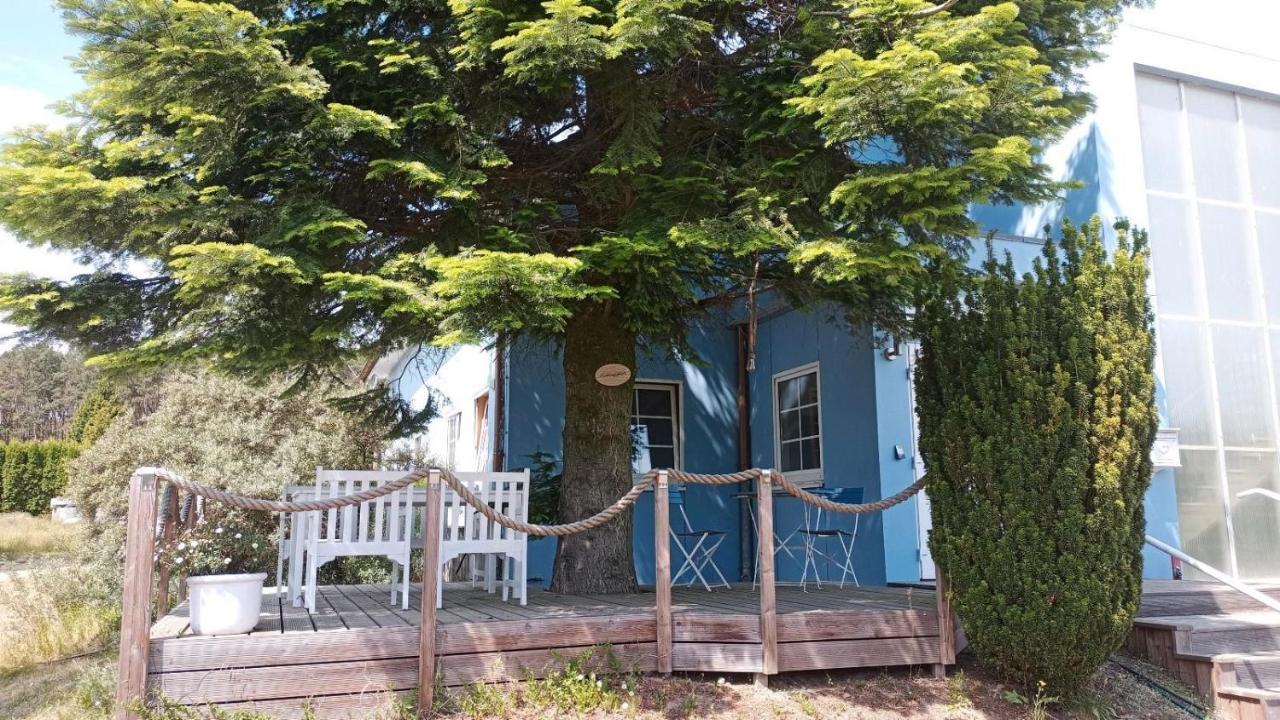 Ferienwohnung Naturparadies Gnitz Lutow Kültér fotó